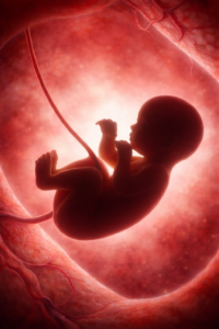 The mission after the Overturn of Roe v. Wade Remains the Same